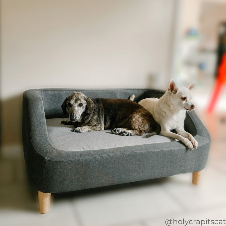 Teamson Pets 15.51" Bennett Linen Sofa Dog Bed for Small and Medium Dogs, Gray- FINAL SALE