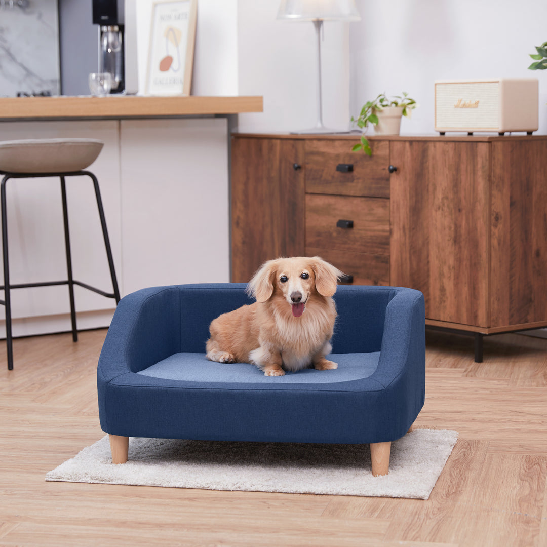 A small light colored dog sits in the middle of a blue pet sofa on a hardwood floor in a living room with a wooden sideboard