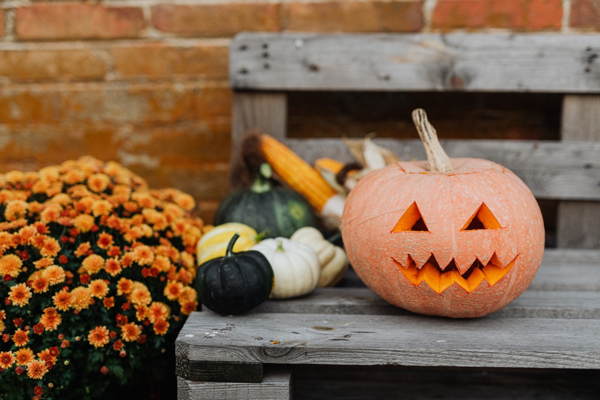 Fun activities for Halloween loving kids! The image shows a Jack-o'-lantern and festive gourds and orange mums on a bench.