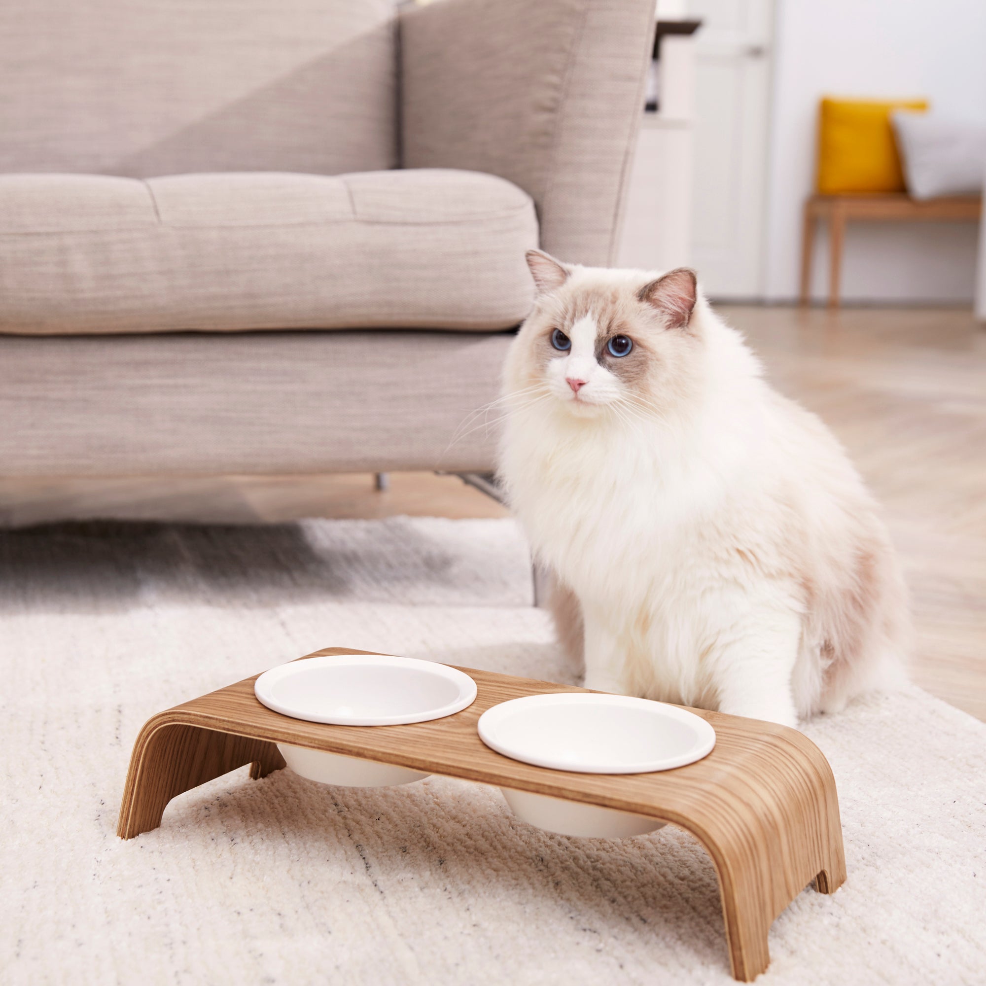 Cat Feeders