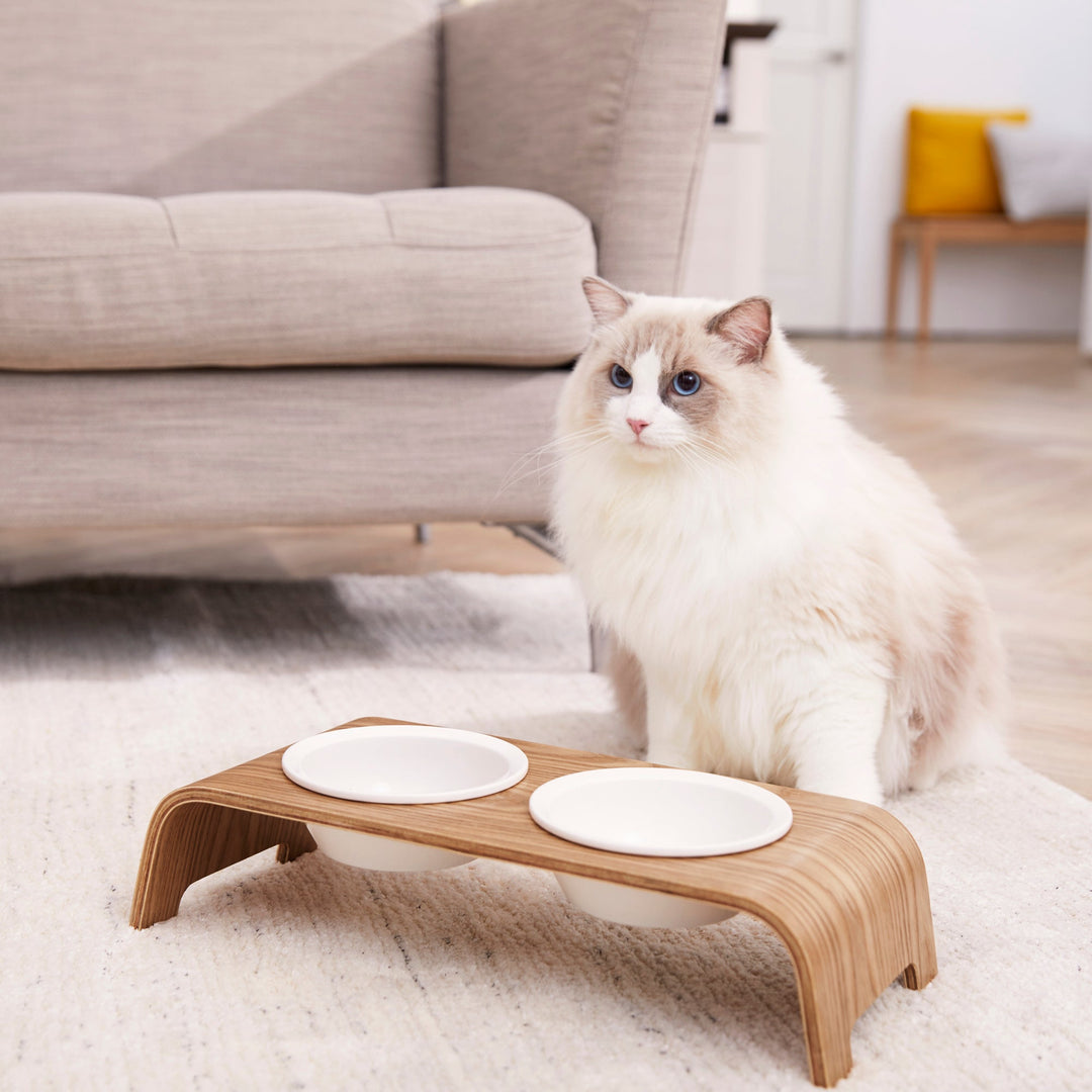 A fluffy white and beige cat sits in front of a bamboo finished cat feeder with two white bowls.