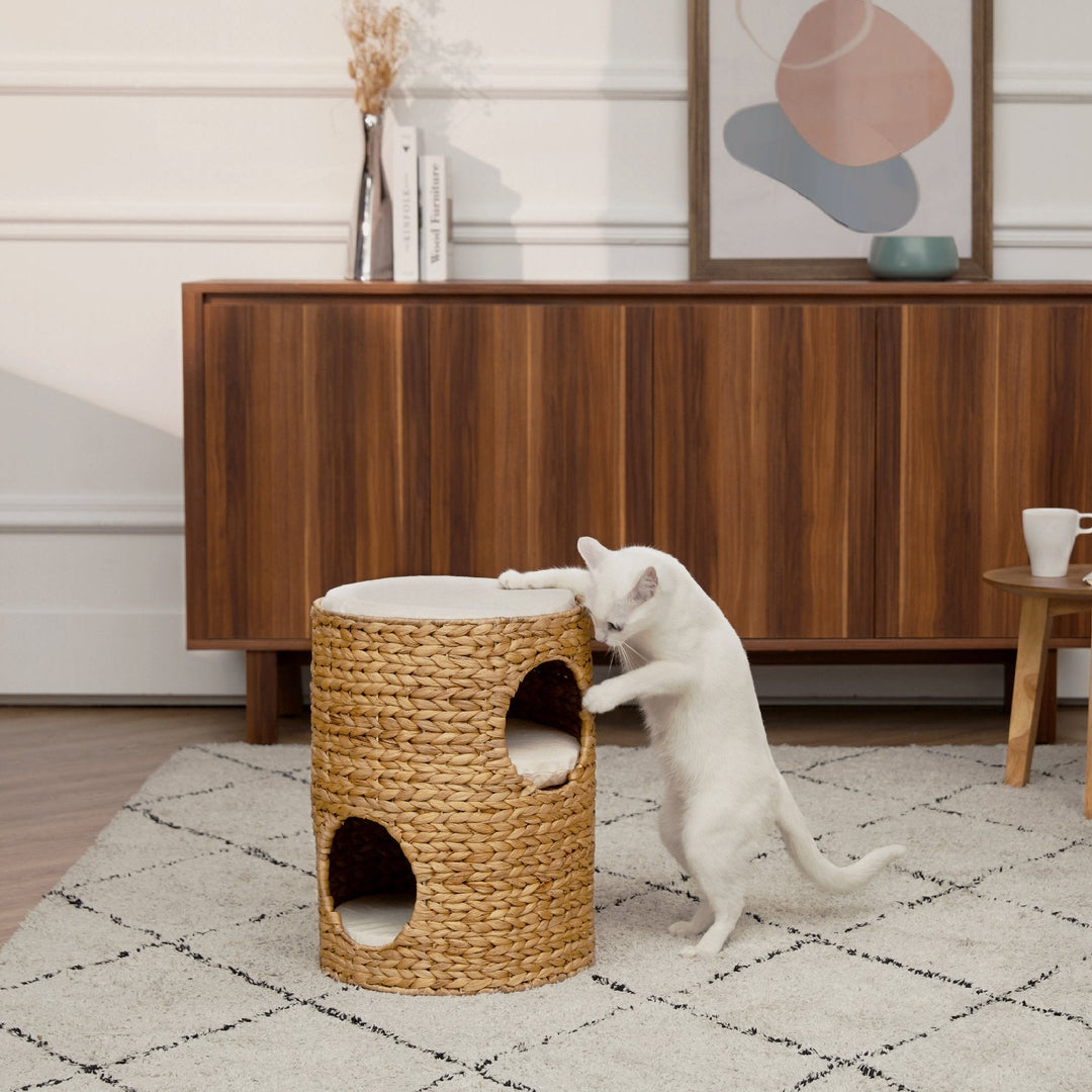 A playful white cat scratches against its woven multi-tiered teamson cat bed.