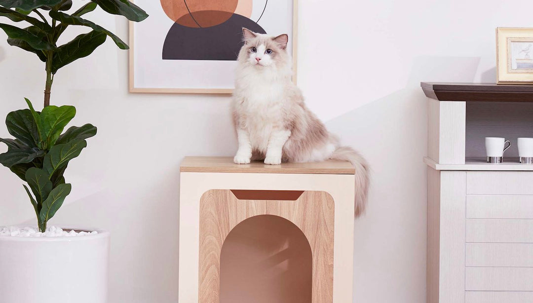 A cat happily sits on top of her litter box enclosure side table