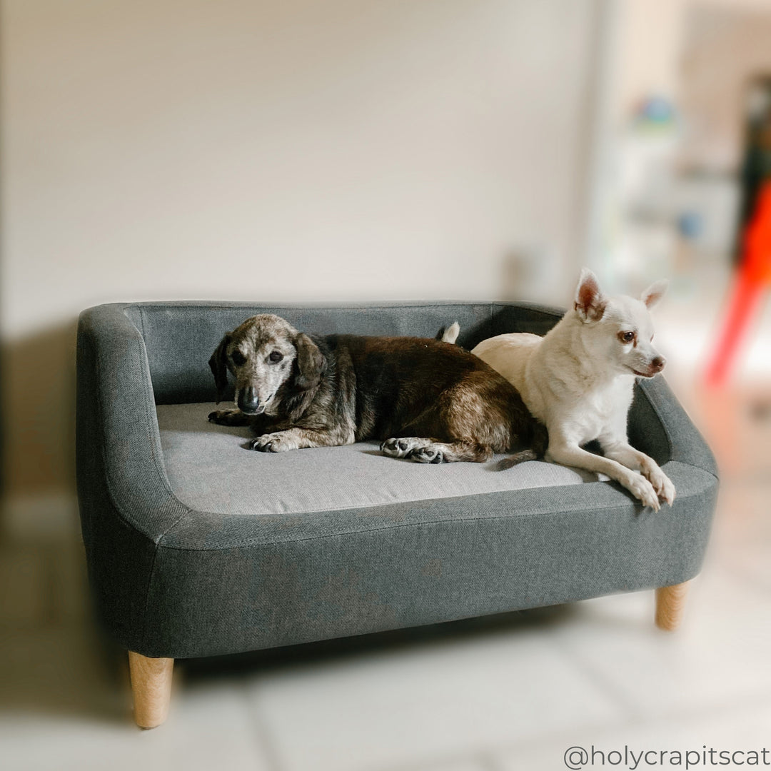 Teamson Pets 15.51" Bennett Linen Sofa Dog Bed for Small and Medium Dogs, Gray- FINAL SALE