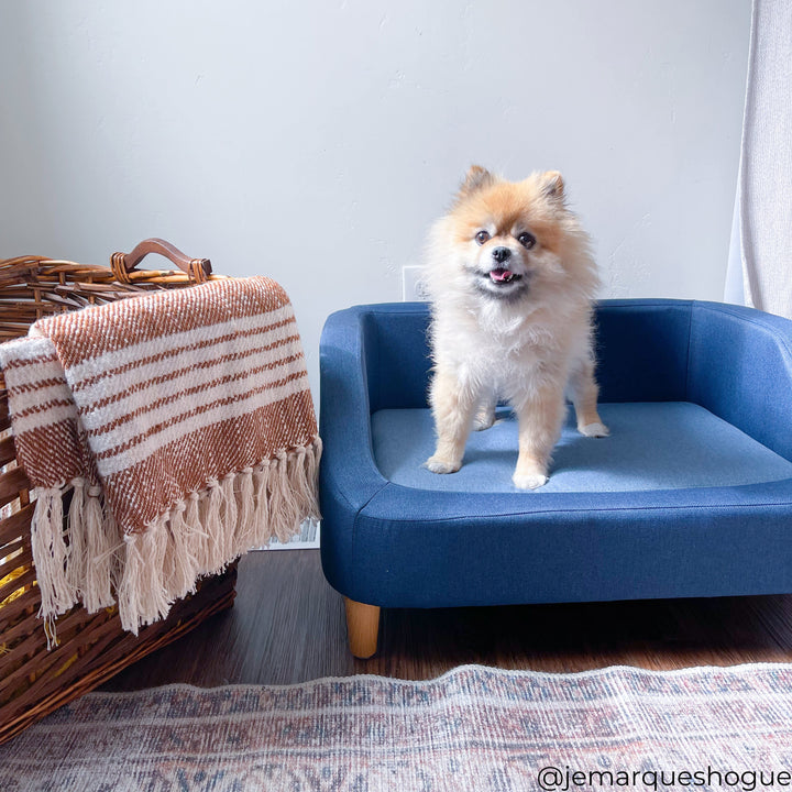 Teamson Pets 15.51" Bennett Elevated Linen Sofa Pet Daybed for Small and Medium Dogs, Navy- FINAL SALE