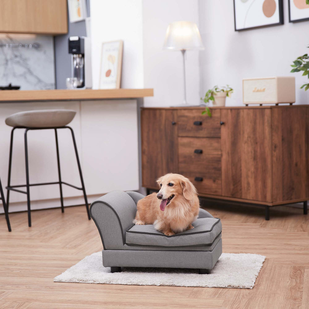A small dog sitting on a gray chaise lounge pet bed for cats or small dogs in a modern-style living space.