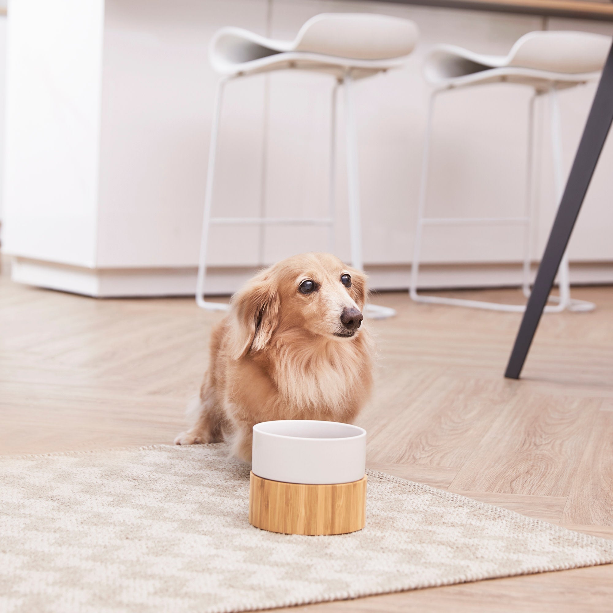 Teamson Pets Billie Small Elevated Wood Pet Feeder with Ceramic Bowls, Brown