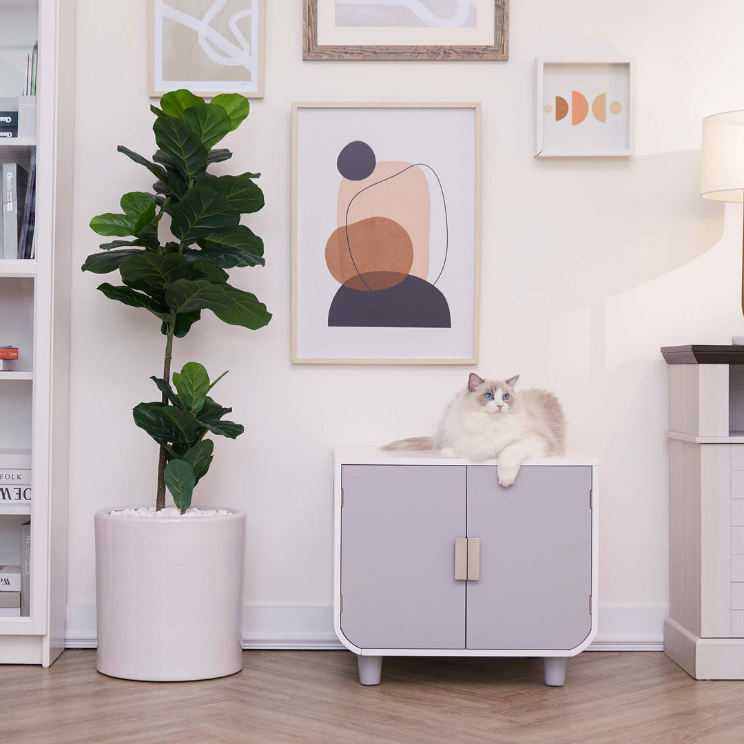 Teamson Pets Dyad Wooden Cat Litter Box Enclosure and Side Table, Alpine White, with a white cat sat on top.