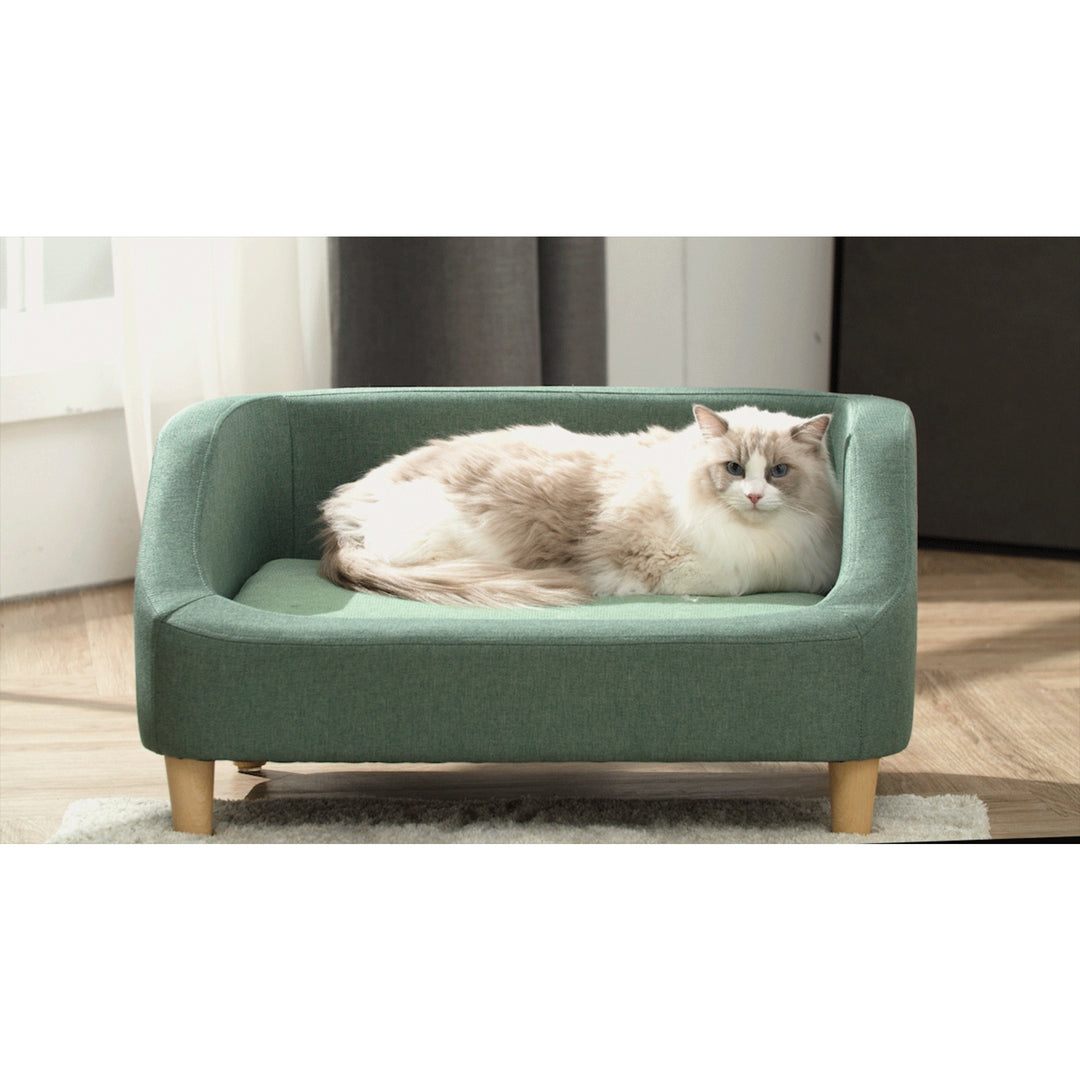 A fluffy cat relaxing on a Teamson Pets Bennett Linen Sofa Dog Bed for Small and Medium Dogs, Sea Green.