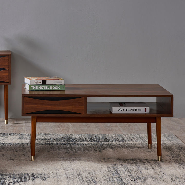 The Dawson coffee table placed on a rug with books stored on top and inside the shelf area.