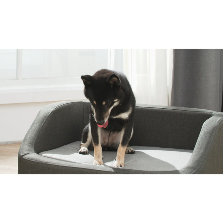 A black and tan dog sitting on a Teamson Pets Bennett Linen Sofa Dog Bed for Small and Medium Dogs, Gray with its tongue out.