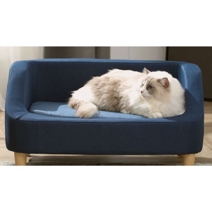 A fluffy white and beige cat lying on a Teamson Pets Bennett Elevated Linen Sofa Pet Daybed for Small and Medium Dogs, Navy with a removable cushion.