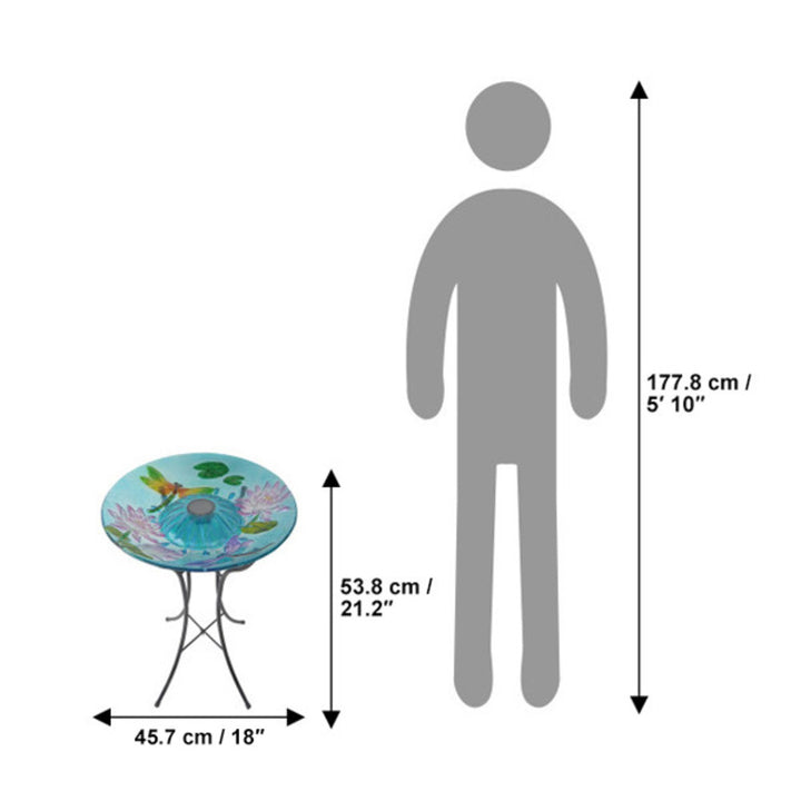 Comparison of height between an average adult human to a Teamson Home 18" Outdoor Solar Glass Dragonfly Birdbath with LED Lights and Stand, in centimeters and inches.