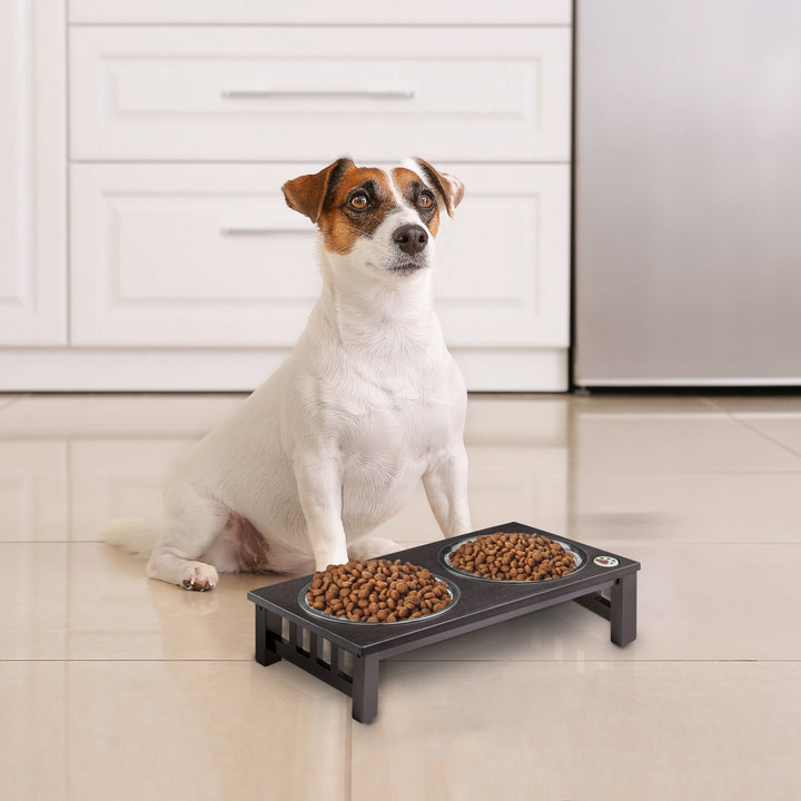 A jack russell terrier sitting patiently in front of a Teamson Pets 6.5" Pet Dog Feeder with a dark espresso finish, holding two stainless steel bowls filled with kibble.