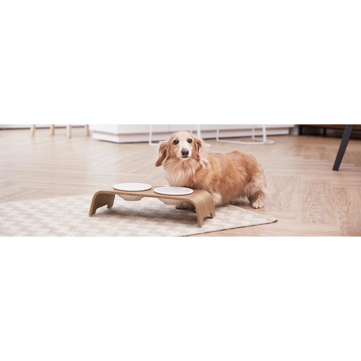 A small dog with the Billie Small Elevated Ash Wood Pet Feeder with white ceramic bowls and a wood grain finish.