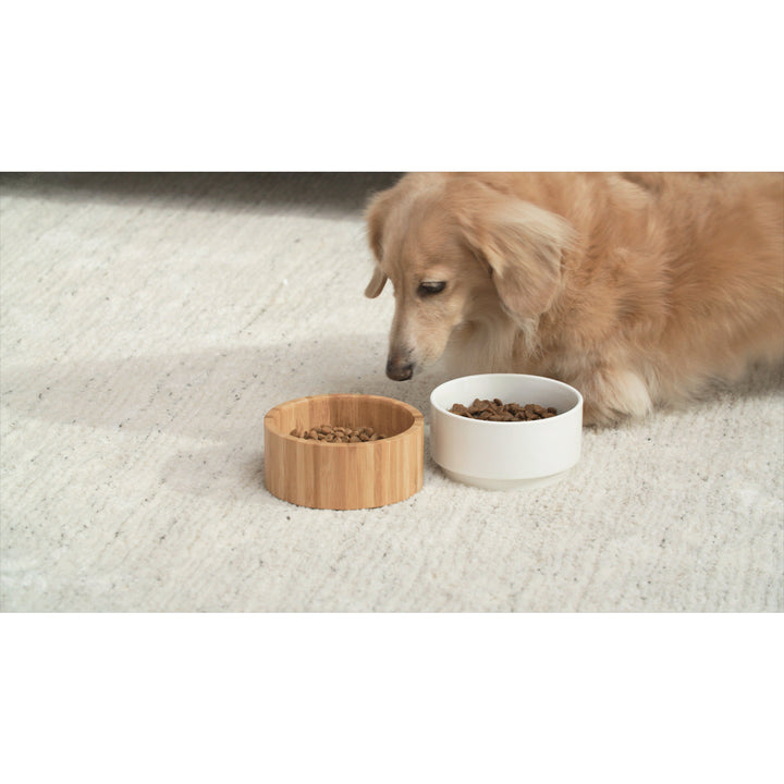 A golden dog contemplating two bowls of food in a Teamson Pets Billie Raised Dishwasher Safe Ceramic Pet Bowl with Bamboo Stand on a light carpet.
