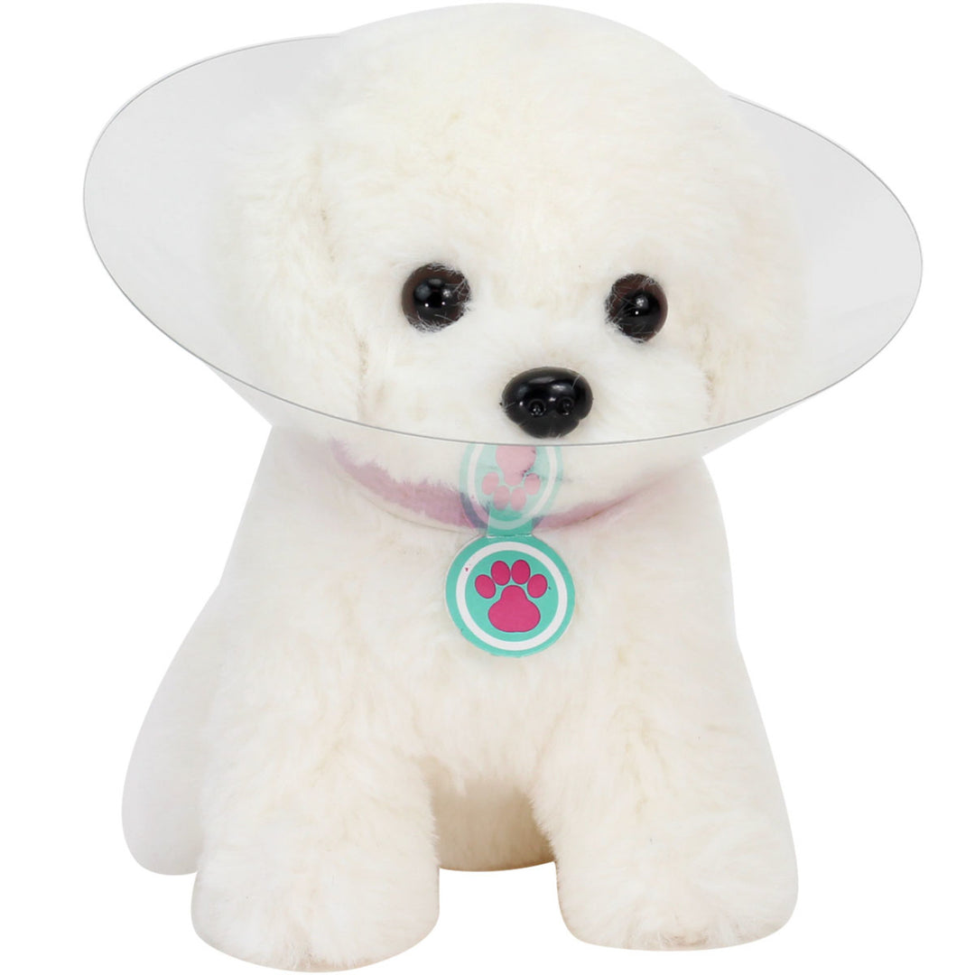 A fluffy white dog with a clear cone around its neck.